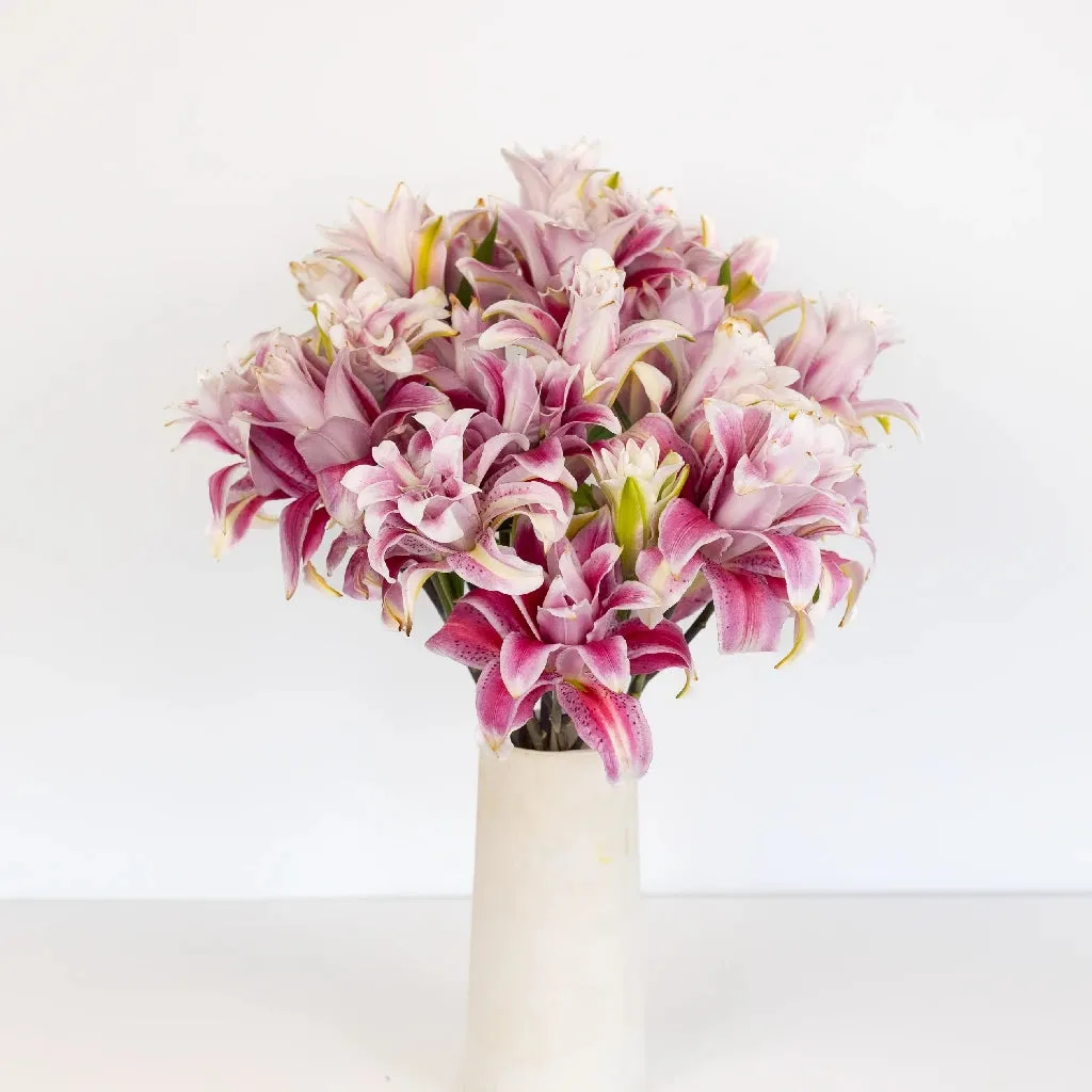 Bubblegum Pink Rose Lily