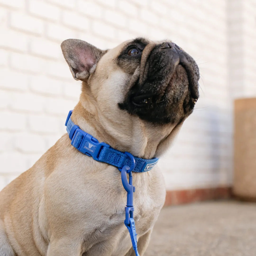 Frenchie Comfort Collar - Royal Blue