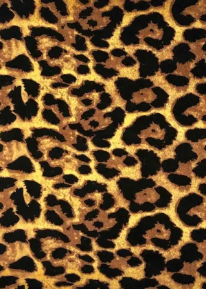 POLY BRUSHED DTY STRETCHED KNIT WITH LEOPARD PRINT<br><h6>1-AMBER/BROWN/BLACK<br>329BPRT-LEOPARD</h6>
