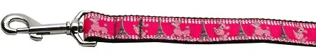 Poodles In Paris Nylon Dog Leash 3-8 Inch Wide 4ft Long
