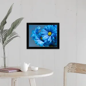 "Blue daisies flowers." Black Framed Print