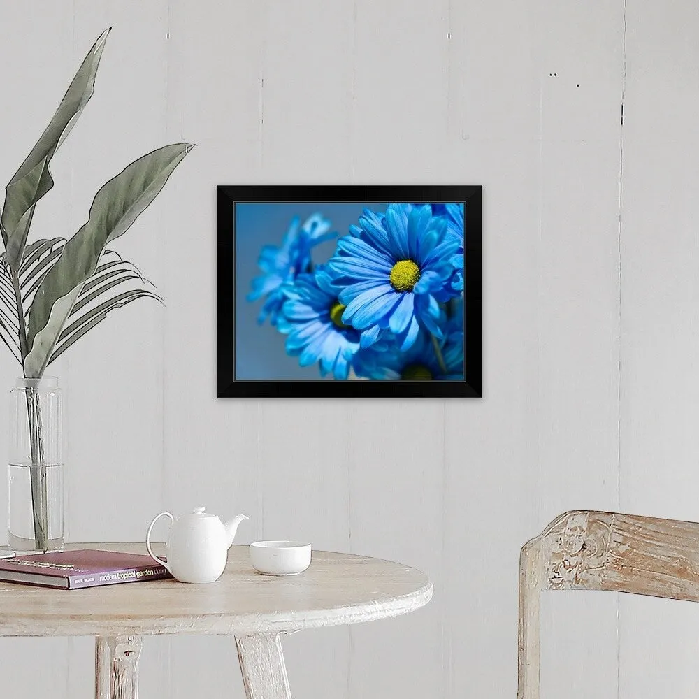"Blue daisies flowers." Black Framed Print