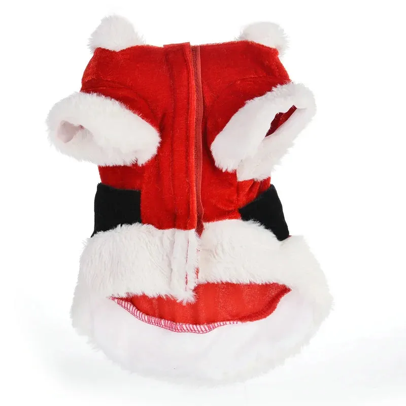 Santa Christmas Costume for Small Dogs and Cats