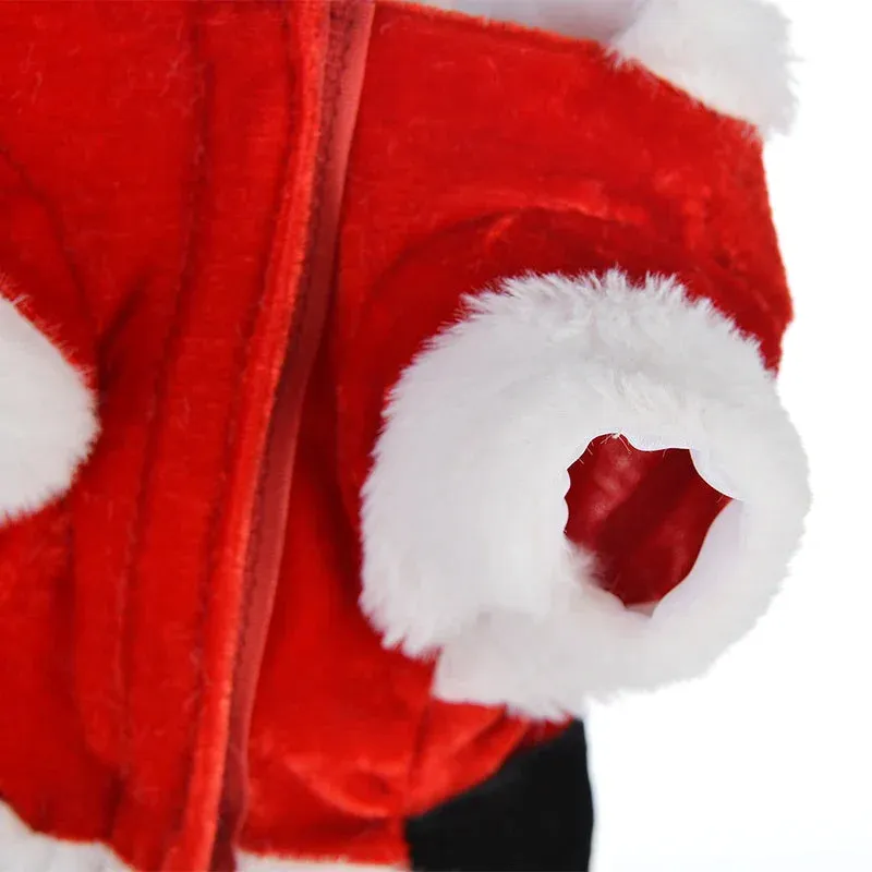 Santa Christmas Costume for Small Dogs and Cats
