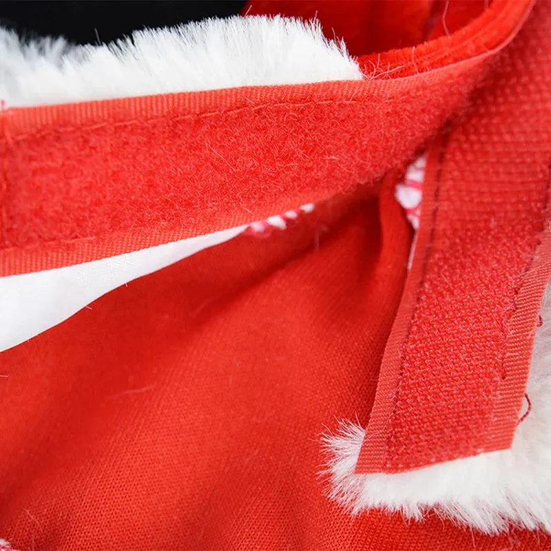 Santa Christmas Costume for Small Dogs and Cats